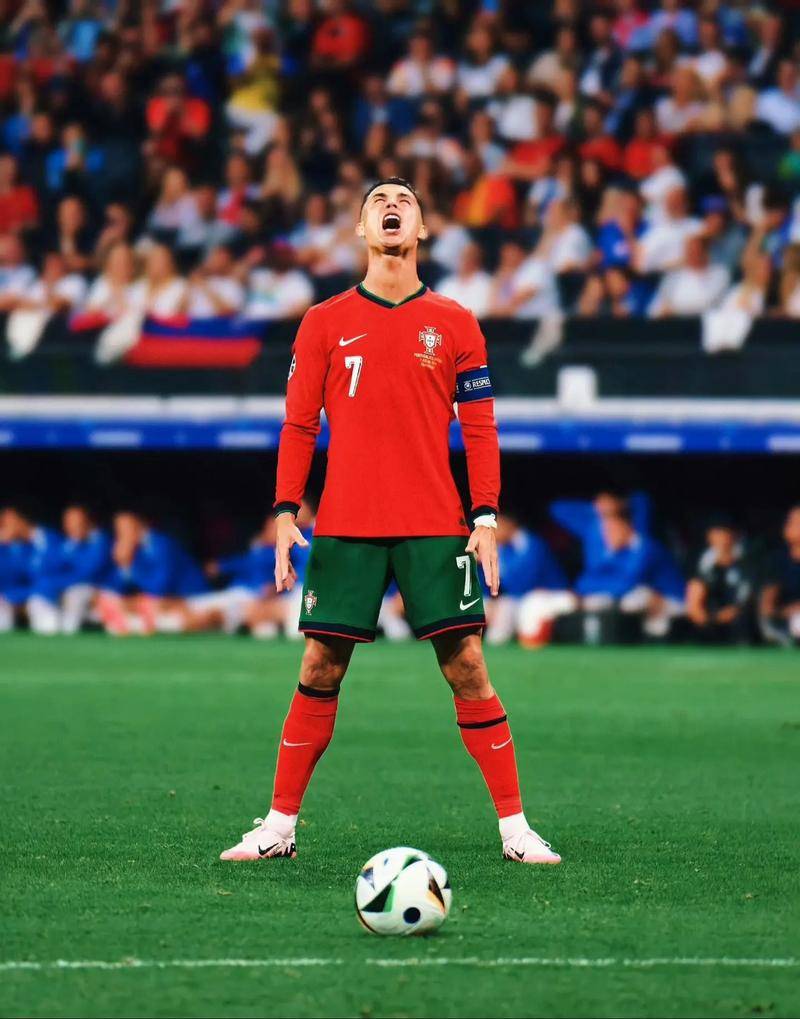 年度内没有 年度内没有